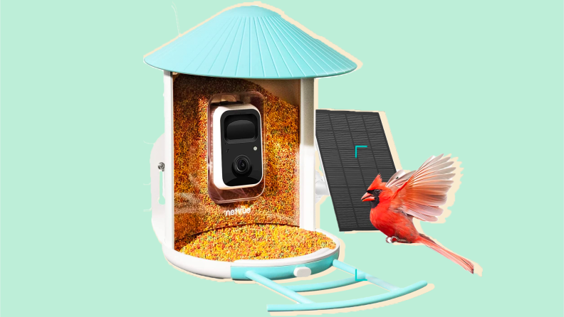 Bird feeder on a green background