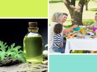 A collage of images showing a bottle of citronella and a family seated outside for a meal.