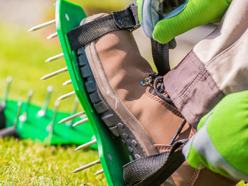 Aerator online near me
