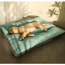 Product image of Big Dog Mat