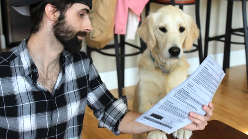 "Hmm, yes, very suspicious," says Addy, dog detective and all-around good girl.