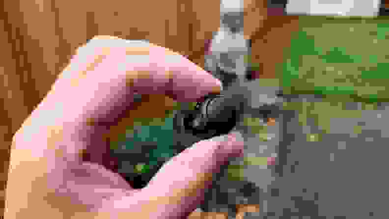 黑色圆润的索尼WF-C500耳塞夹在两个手指之间，面前是一个多汁的砾石花园，背景是一座石雕雕像