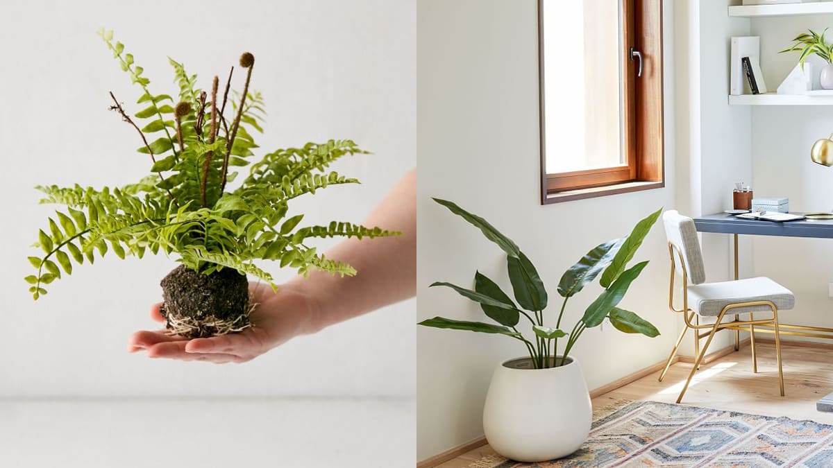 Here are the best places to buy artificial plants for home decor