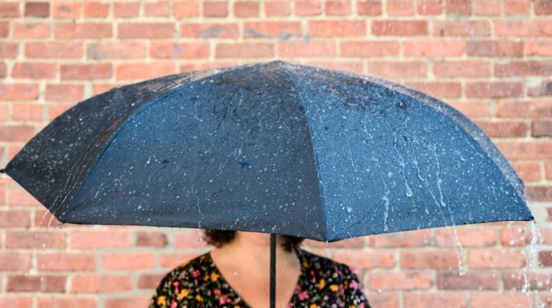 Umbrella