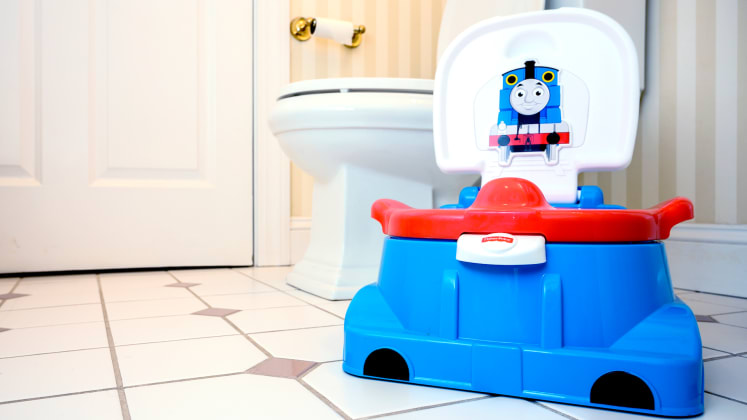 The Best Potty Training Chairs Of 2020 Reviewed Parenting