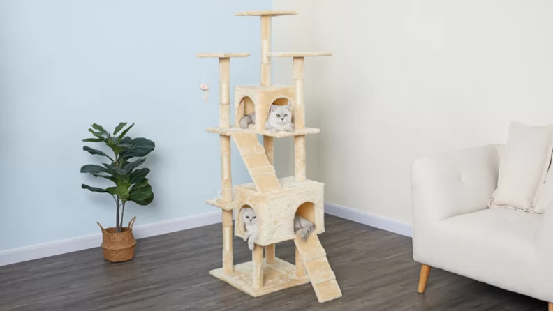 Two cats sitting in a cat tree