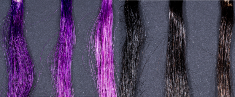 Experiment results for purple (left) and brown (right) dyed hair washed with Pantene shampoo. The leftmost hair swatch in each group wasn't washed at all, the middle swatch was washed once, and the rightmost swatch was washed five times.