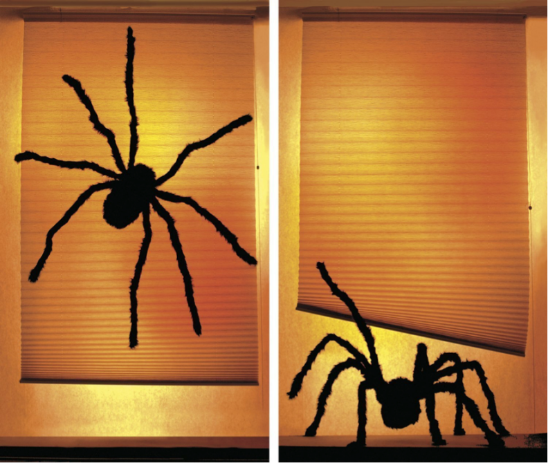 Decorative Halloween spiders
