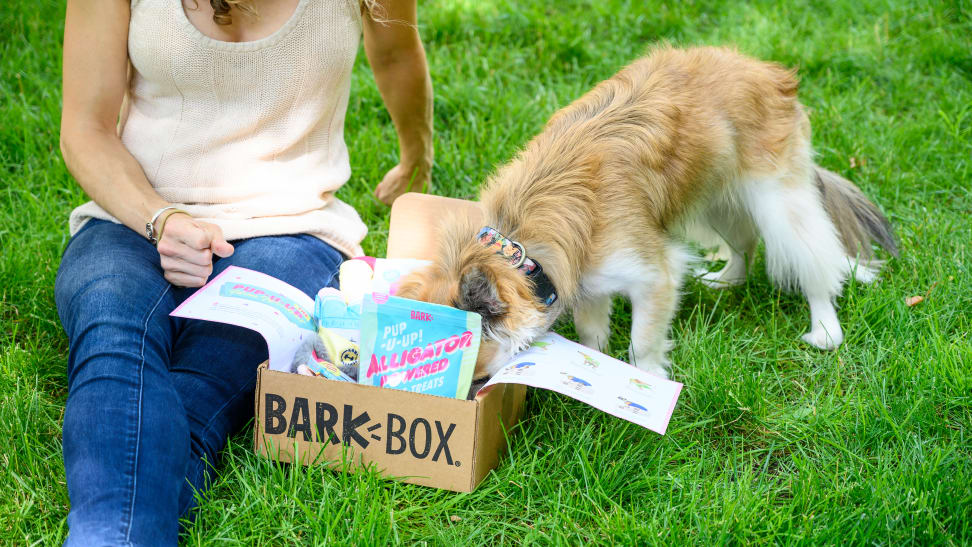 Bark box cute dog head inside