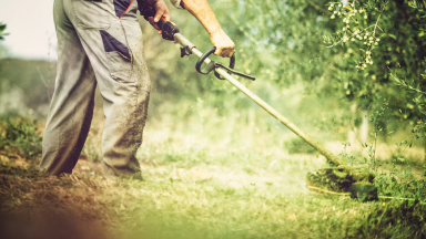 A person clears a lawn with a weed wacker.