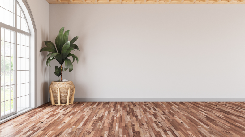 An empty modern living room with a white wall and plant.