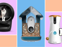 Three smart pet products on colorful background.