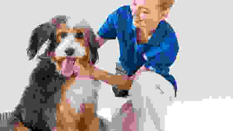 Blonde PetSmart grooming worker in blue shirt pets dog