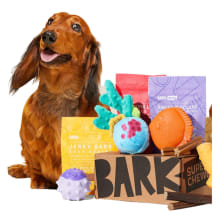 Product image of Barkbox Subscription Boxes