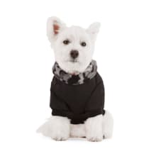 Product image of Reddy Bomber Jacket for Dogs