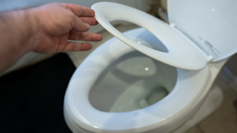 babybjorn toilet trainer walmart
