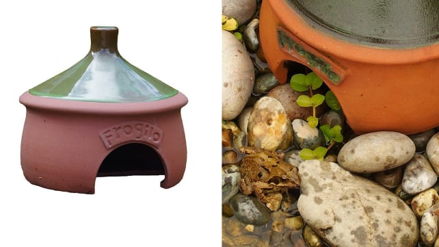 Frog House