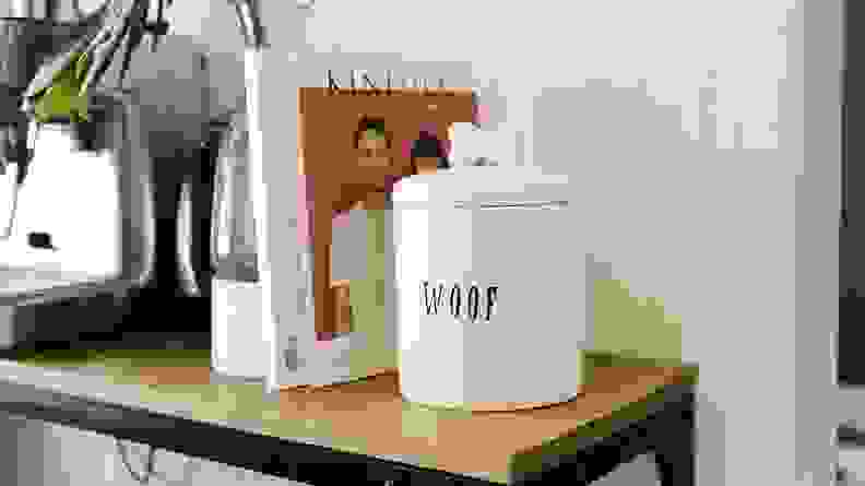 An image of a white jar of dog treats emblazoned with the word "Woof" sitting on a shelf.