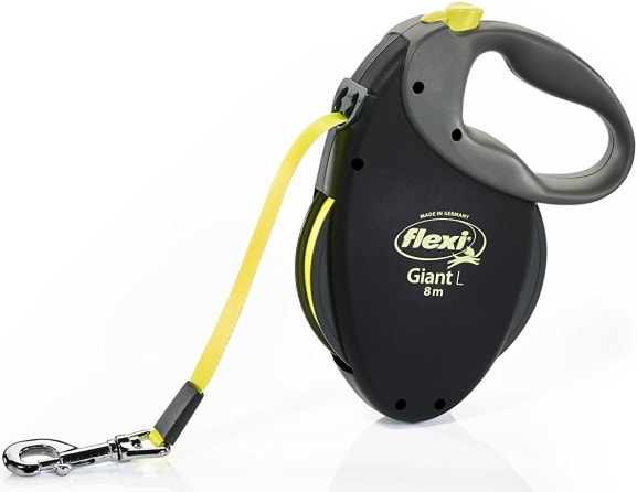 best dog leash for large dogs