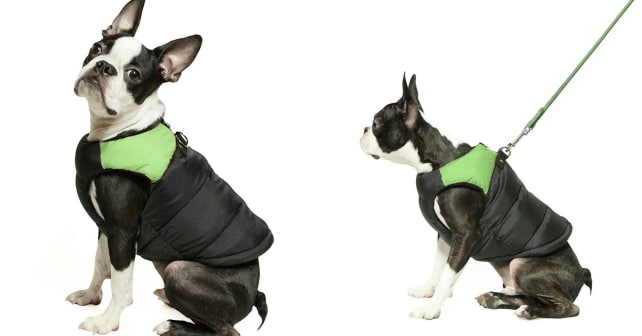 Winter vest