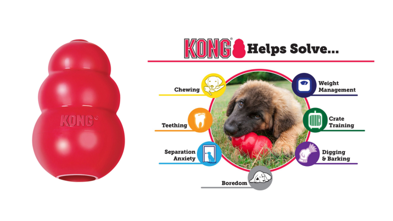 An image of a KONG toy next to a description.