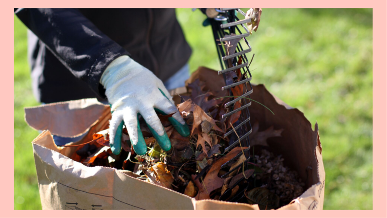 Wearing gloves while raking leaves