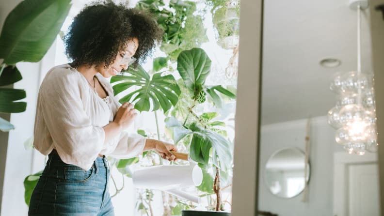 How To Move Your Plants Inside For Winter Reviewed Home Garden