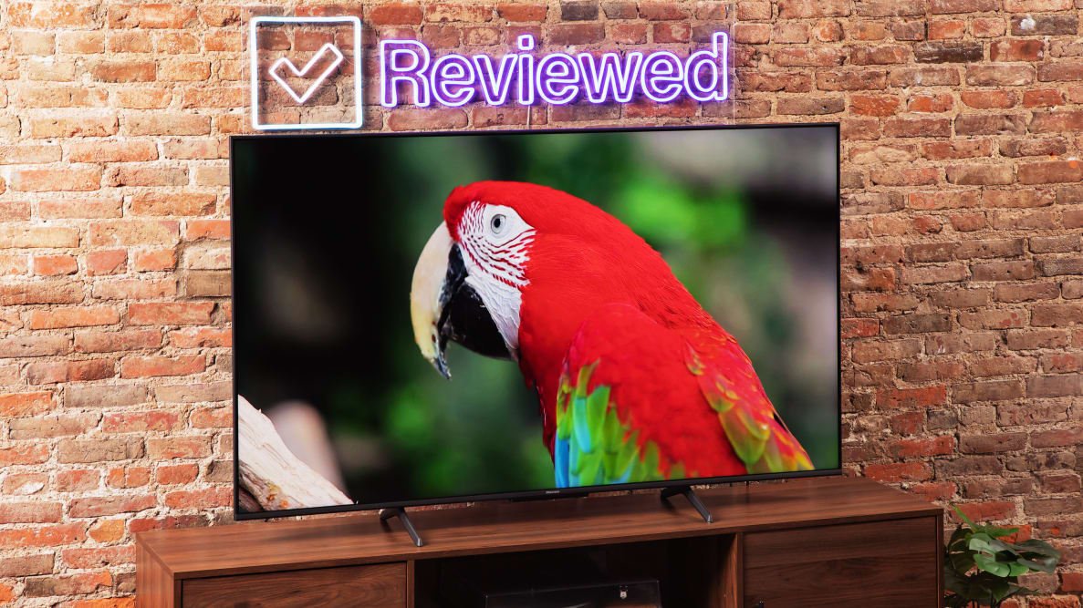 The Hisense U6K Mini-LED TV on a wooden home theater credenza displaying a red bird with a brick wall and neon Reviewed sign in the background.