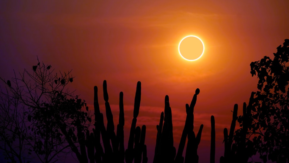 Partial solar eclipse total sun eclipse over silhouette of desert cacti