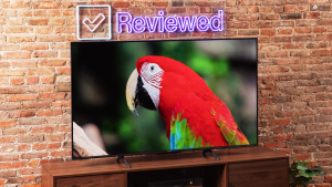 的Hisense U6K Mini-LED TV on a wooden home theater credenza displaying a red bird with a brick wall and neon Reviewed sign in the background.