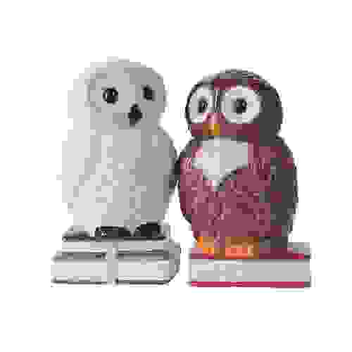 These salt and pepper shakers are a hoot.