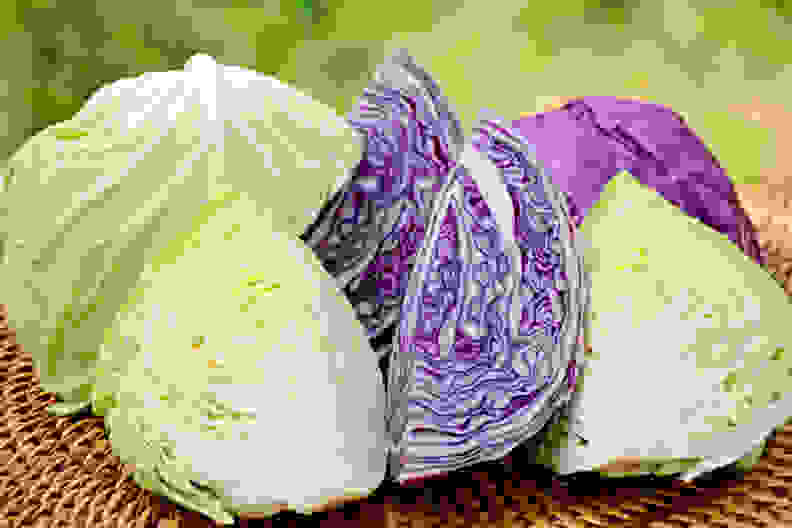 Cabbage