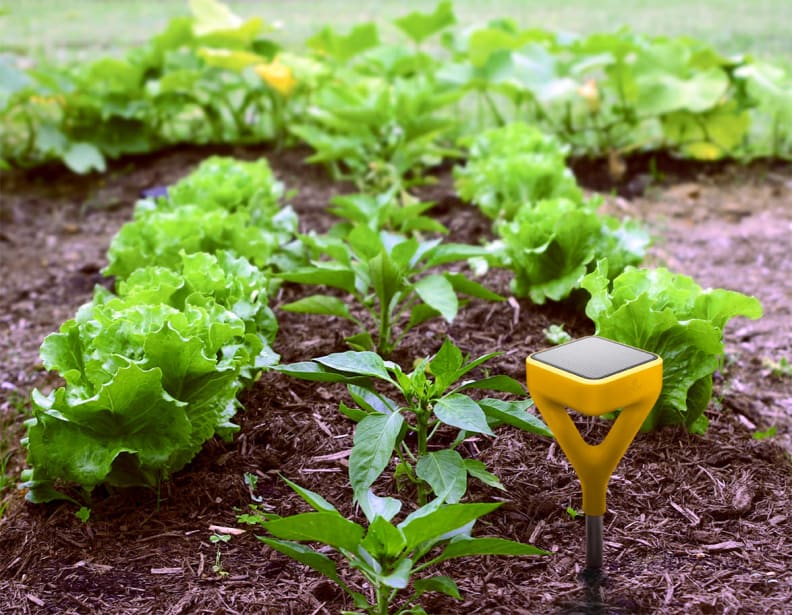 Edyn Garden Sensor