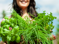 here's how to preserve fresh herbs from your garden