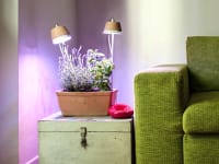 Bulbo LED grow lights