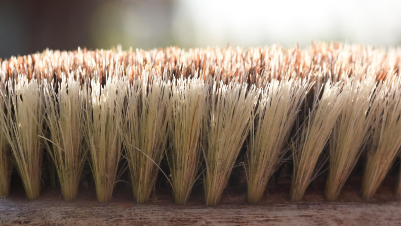 a horsehair brush cleans a leather shoe