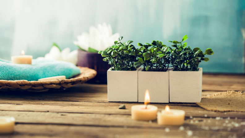 Potted plants and candles on a wood table.