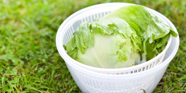 Salad Spinner