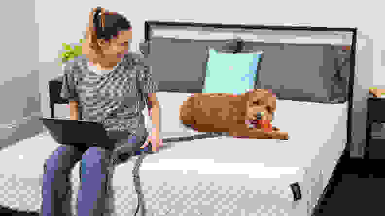 A person and a dog sitting on the Leesa Sapira hybrid mattress.
