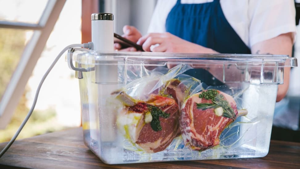 grænse At forurene Stikke ud Sous vide is my secret to easy meal prep - Reviewed