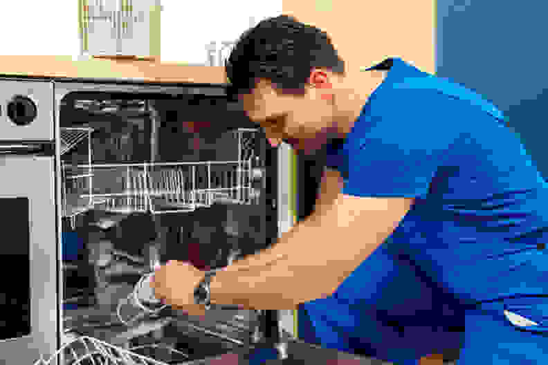 Cleaning dishwasher filter