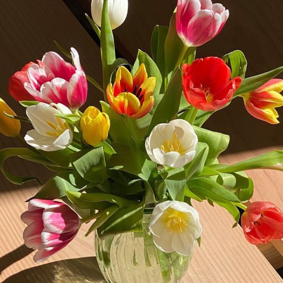 Proflowers mothers day sale