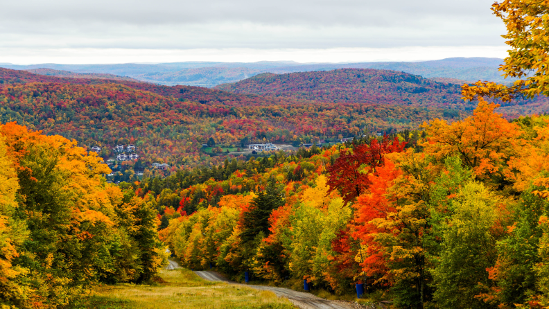 View over the surroundings hills and meadows of Mont-Tremblant during Autumn, Quebec, Canada.