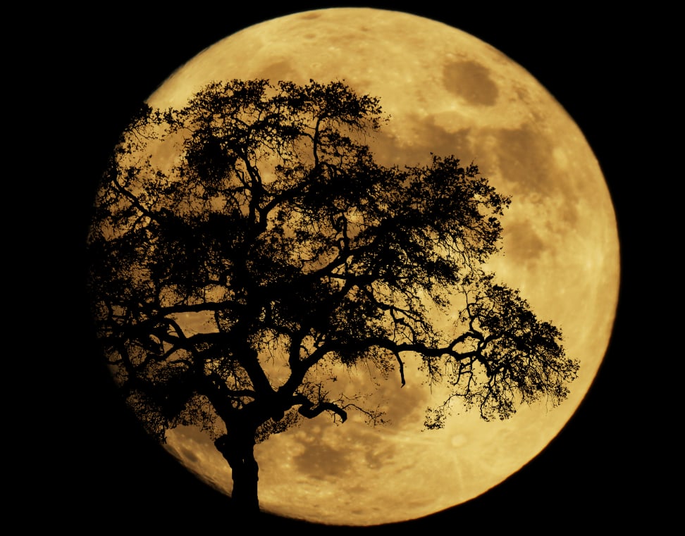 Photographing tonight's supermoon? We've got you covered.