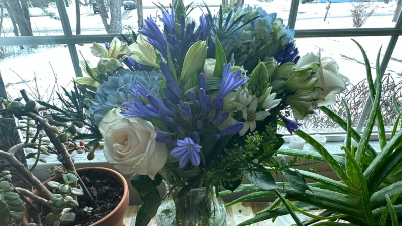 A close-up of the top of a Bouqs bouquet sitting in front of a window.