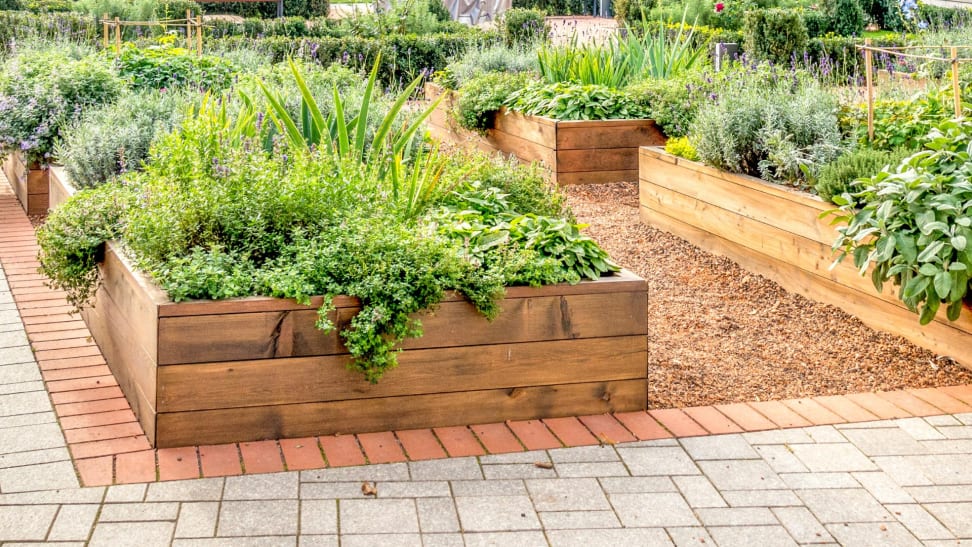 How to build a raised garden bed - Reviewed