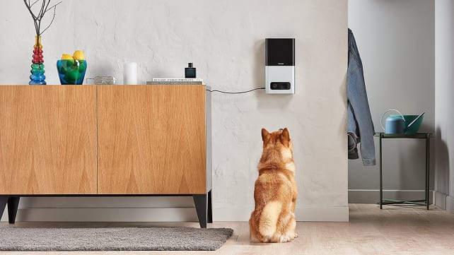 Petcube Camera and Treat Dispenser