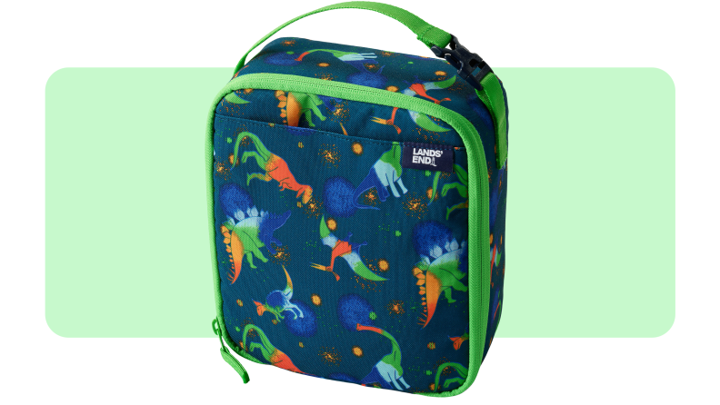 A dino lunchbox