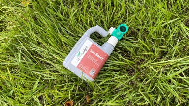 A bottle of organic liquid lawn care treatment sits on a bed of lush green grass.