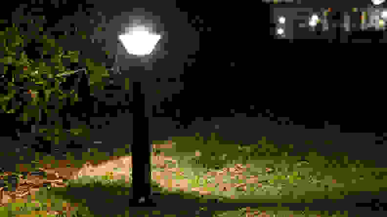 A Ring outdoor solar light appears in a dark yard.